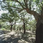 La Brizna Landhaus Cañamero