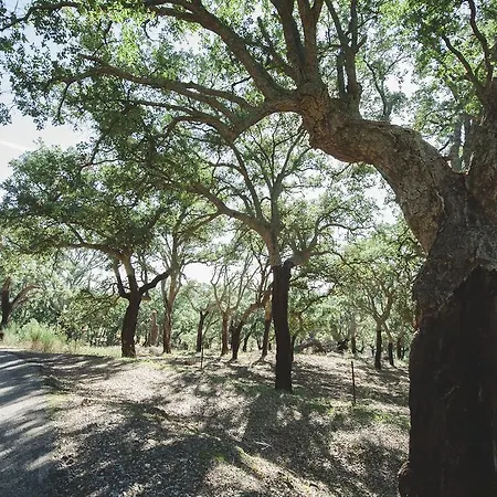 La Brizna Gospodarstwo wiejskie Cañamero