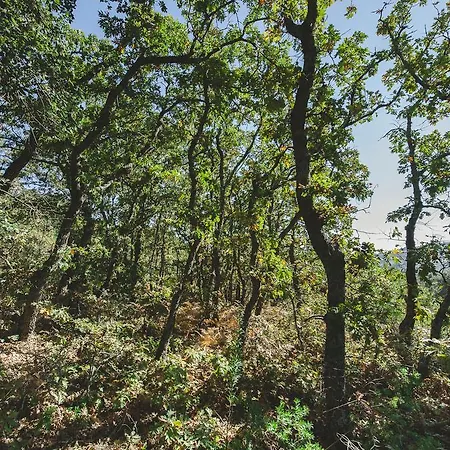 La Brizna Gospodarstwo wiejskie Cañamero