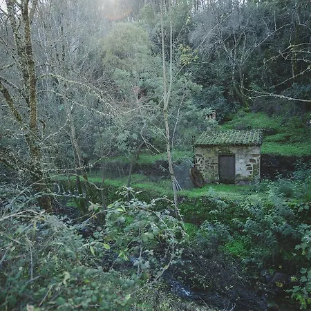 La Brizna Canamero
