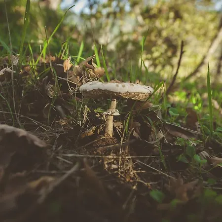 La Brizna Gospodarstwo wiejskie *