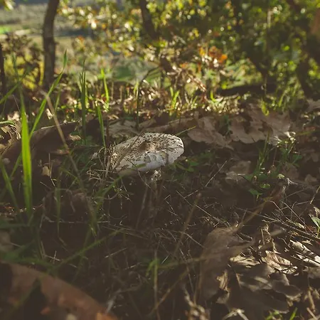 La Brizna Gospodarstwo wiejskie *