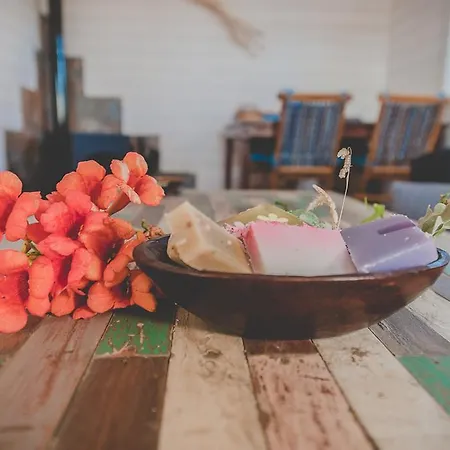 Gospodarstwo wiejskie La Brizna *