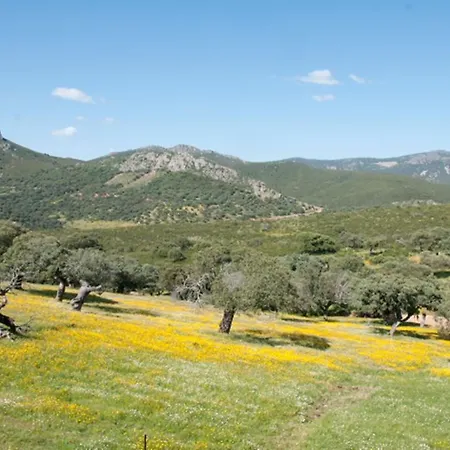 La Brizna Gospodarstwo wiejskie Cañamero
