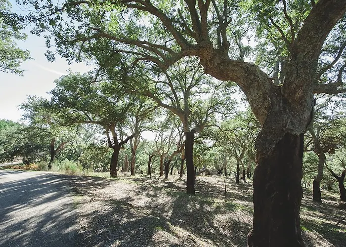 La Brizna בית כפרי Cañamero