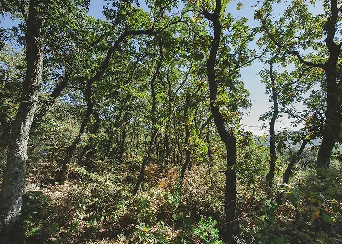 La Brizna בית כפרי Cañamero